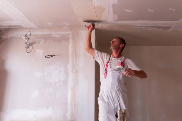 Best Remodeling Drywall  in USA